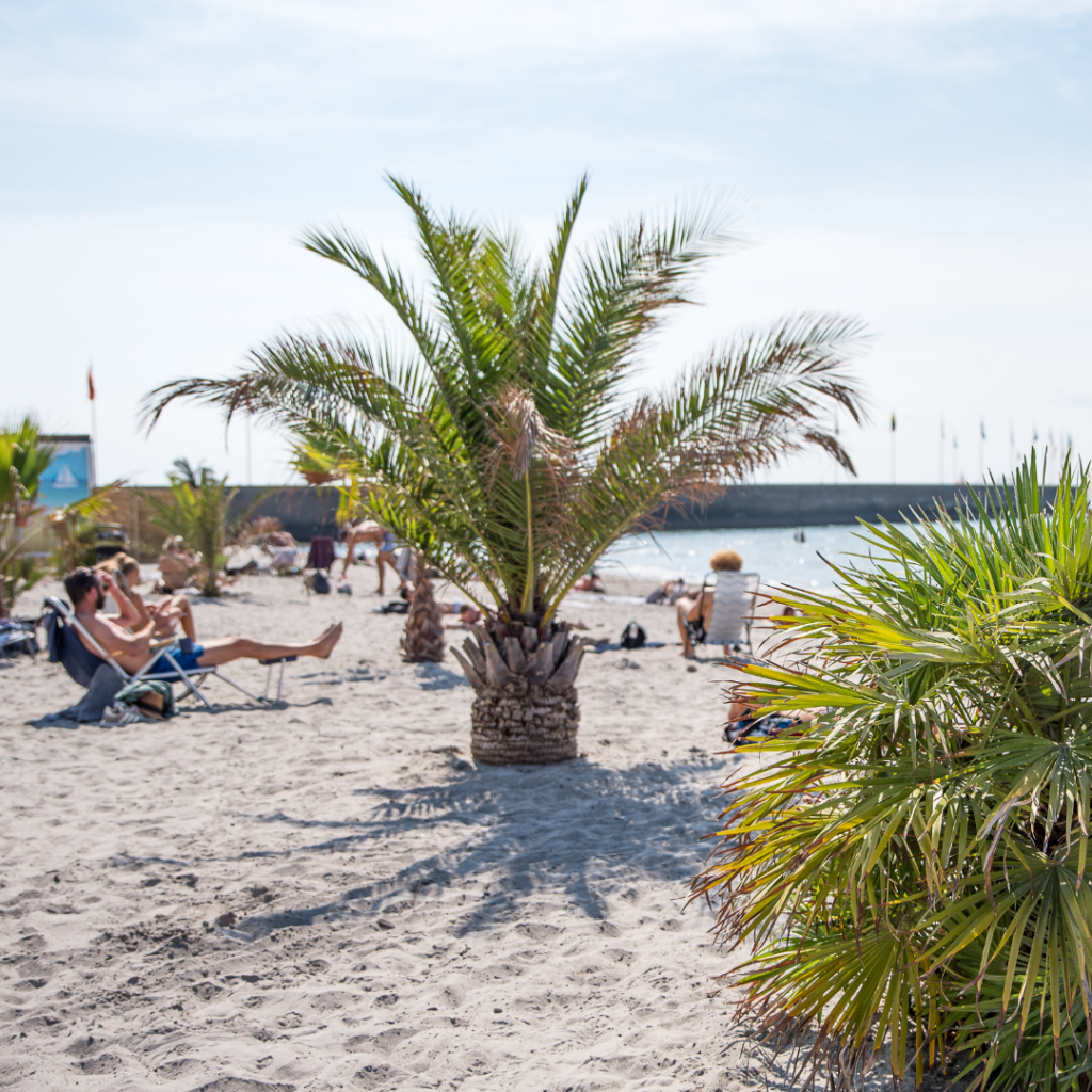 En strand med palmer och folk som solar.