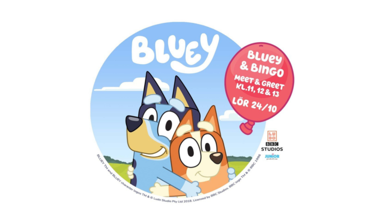 Bluey & Bingo